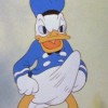 donald duck