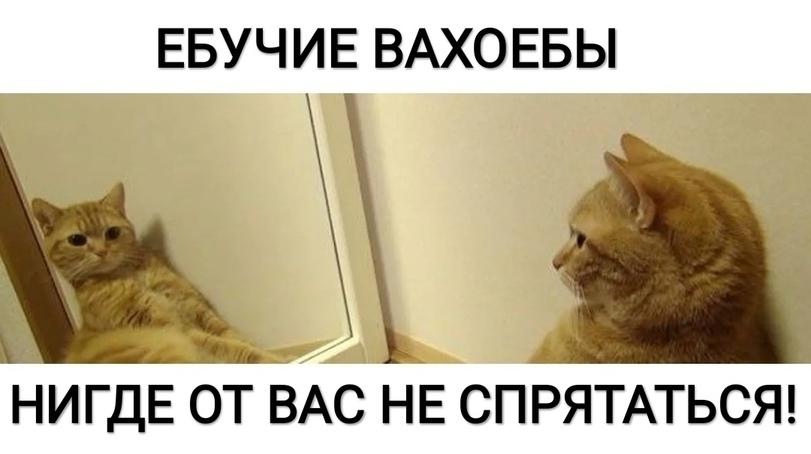 ﻿ЕБУЧИЕ ВАХОЕБЫ te. \\ й НИГДЕ ОТ ВАС НЕ СПРЯТАТЬСЯ!