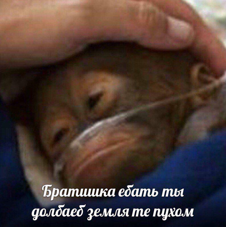 ﻿Ърапишжа ебать дслбаеб уемлят