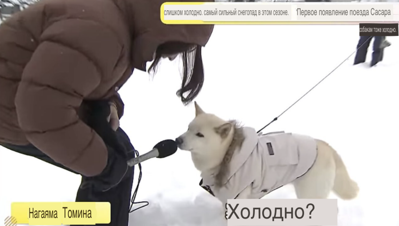 ﻿лишком холодно, самый сильный снегопад в этом сезоне. 'Первое появление поезда Сасара