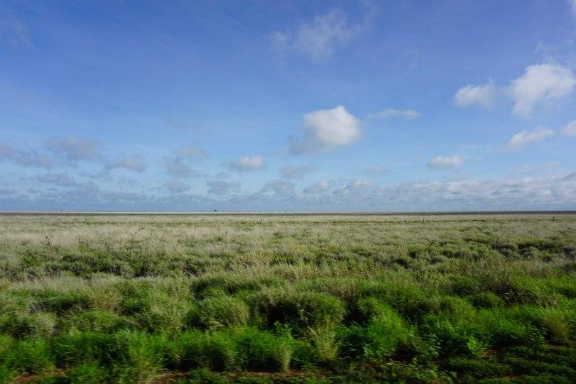 Австралия,путешествие,кругосветка,автостоп,aroundtheworld,introverted_travel,много фото,много текста,длиннопост