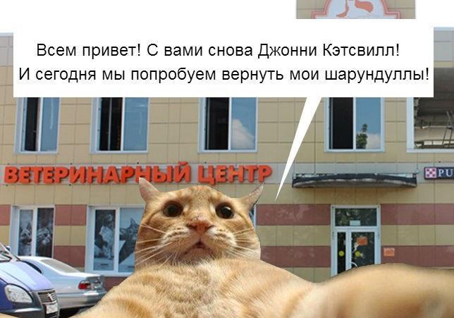 ﻿ЙРиВсем привет! С вами снова Джонни Кэтсвилл!И сегодня мы попробуем вернуть мои шарундуллы!,Джонни кетсвил,песочница,Чудаки (шоу)