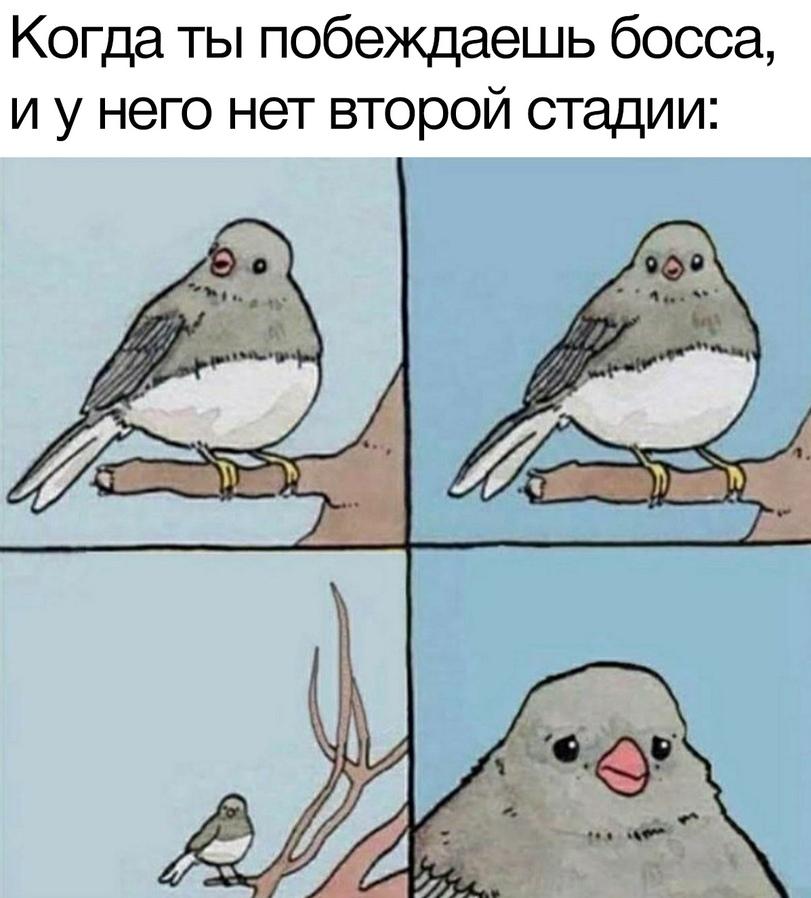 ﻿Когда ты побеждаешь босса, и у него нет второй стадии:,Игры,Annoyed Bird,Мемы,Мемосы, мемасы, мемосики, мемесы,Игровой юмор