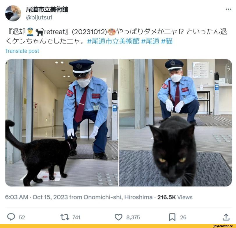 ﻿@b¡jutsu1 ^ ^retreatЛ (20231012)^^0!? ¿Ио/cЛл1 < А/C UrcZ^o #^ÜrtîÎZllÎ/IÏÊI #ЩЗМ #ffi Translate post 6:03 AM • Oct 15,2023 from Onomichi-shi, Hiroshima • 216.5K Views О 52 P 26 tl 741 Ç? 8,375 Î L ' ),Кен Чан и Гоу Чан,котэ,прикольные картинки с кошками