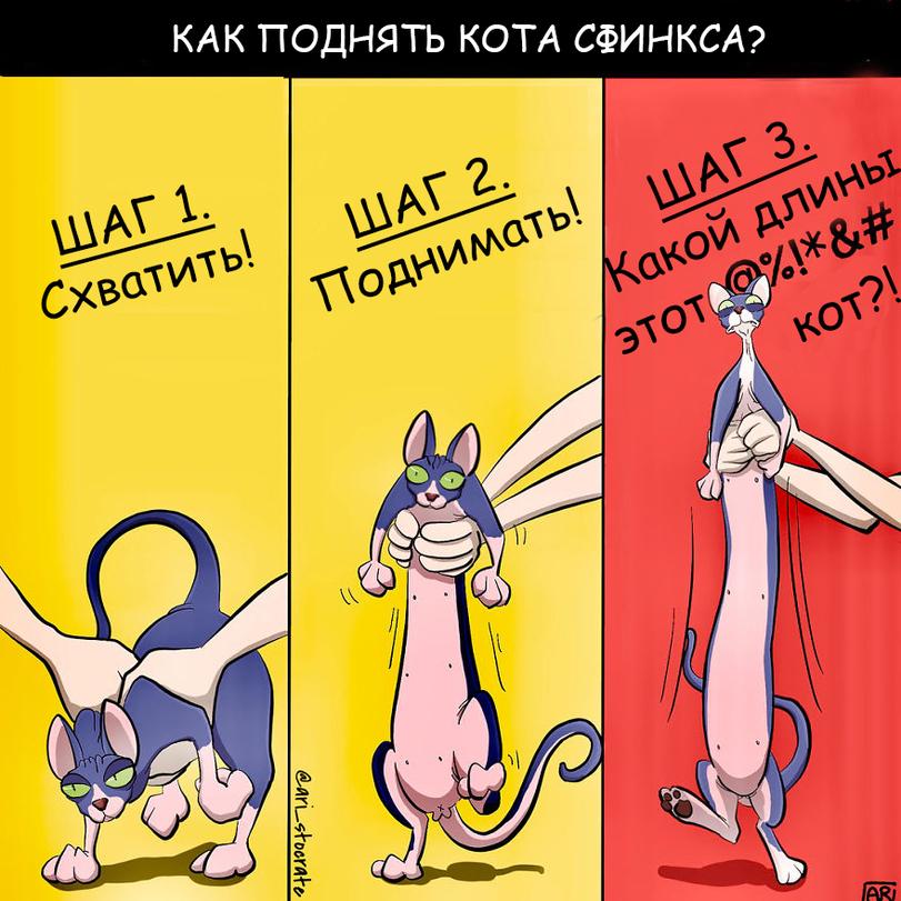 ﻿КАК ПОДНЯТЬ КОТА СФИНКСА?,Смешные комиксы,веб-комиксы с юмором и их переводы,котэ комиксы,Сфинкс (порода),Ari’s Thread,перевел сам