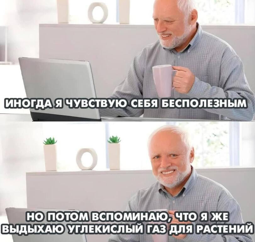 Мемы,Мемосы, мемасы, мемосики, мемесы,Гарольд,Hide The Pain Harold