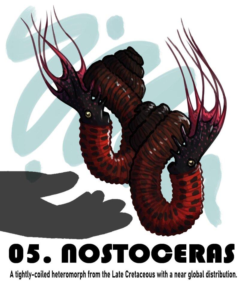 ﻿05. nOSTOCERflfA tightly-coiled heteromorph from the Late Cretaceous with a near global distribution.,Палеоарт,динозавры,ddinodan,artist,art,арт,Moo Deng,длинный пост,без перевода