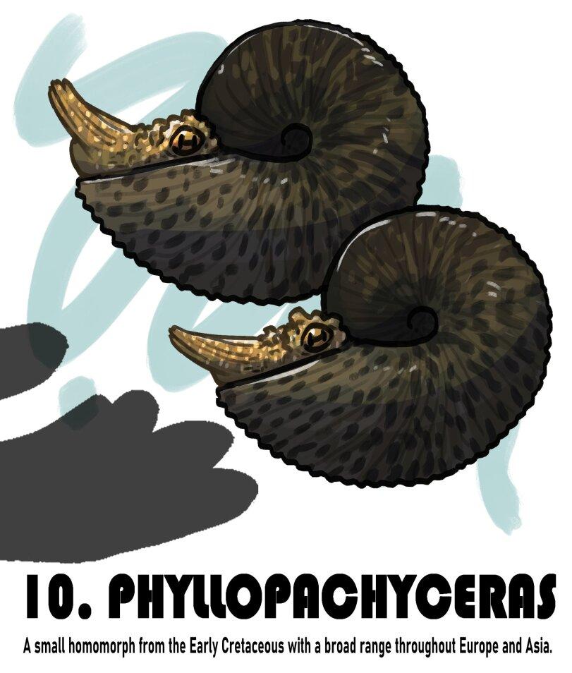 ﻿10. PHYUOPRCHYCERASA small homomorph from the Early Cretaceous with a broad range throughout Europe and Asia.,Палеоарт,динозавры,ddinodan,artist,art,арт,Moo Deng,длинный пост,без перевода