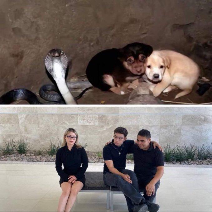Пародия,тнн,собака,собакен, песель, пес,,dog Пародия,тнн,собака,собакен, песель, пес,,dog