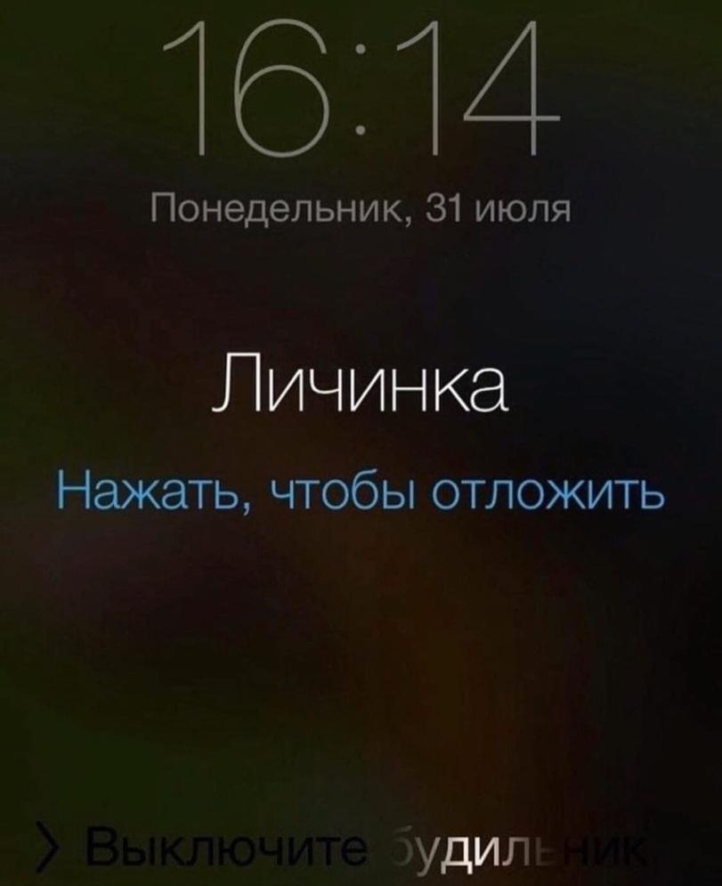 ﻿Понедельник, 31 июля Личинка Нажать, чтобы отложить УДИЛ,Приколы для даунов,разное,будильник,личинка