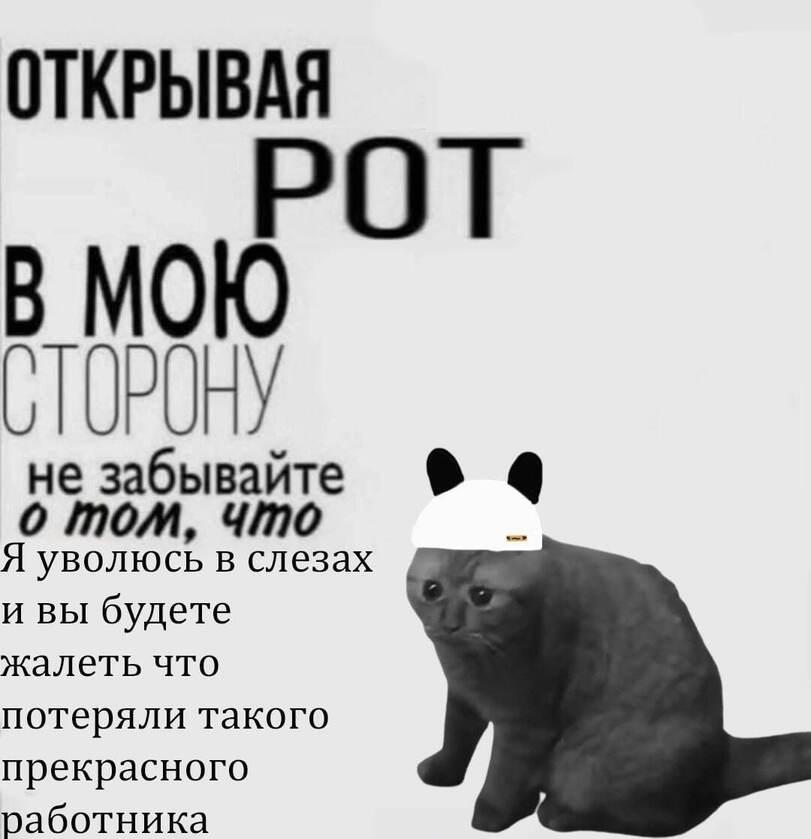﻿ОТКРЫВАЯРОТне забывайте % Що том, чтоЯ уволюсь в слезах и вы будете жалеть чтопотеряли такогопрекрасногоработника,Приколы для даунов,разное,пиздос