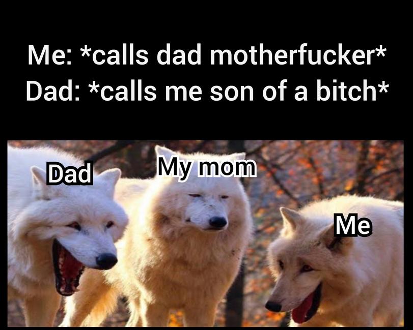 ﻿Me: *calls dad motherfucker* Dad: *calls me son of a bitch*,Приколы для даунов,разное,Laughing Wolves,Мемы,Мемосы, мемасы, мемосики, мемесы