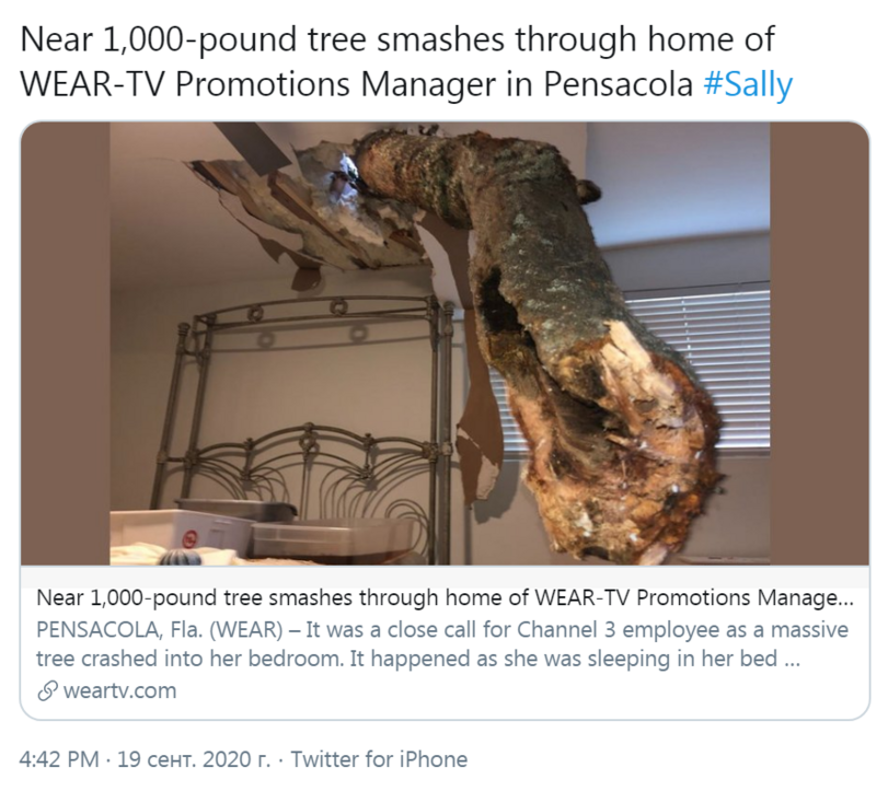 ﻿Near 1,000-pound tree smashes through home of WEAR-TV Promotions Manager in Pensacola #Sally Near 1,000-pound tree smashes through home of WEAR-TV Promotions Manage... PENSACOLA, Fla. (WEAR) - It was a close call for Channel 3 employee as a massive tree crashed into her bedroom. It happened as