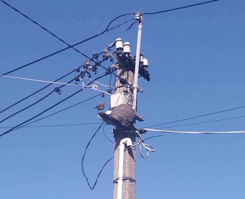 Уругвай,релокация,эмиграция,много фоток,многа букаф,длиннопост,длиннотекст