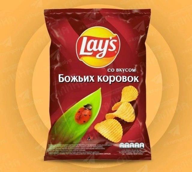 Чипсы,Приколы про еду,Божья коровка,Насекомое