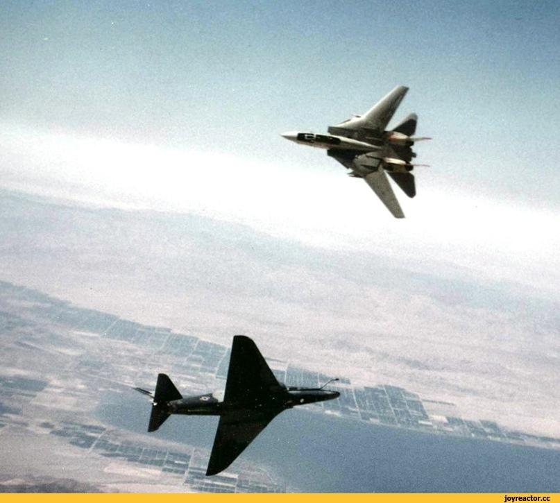 авиация,Военно-морской флот,F-14,длиннопост,Истории,Cat_Cat,vk,интернет