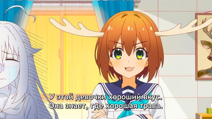 аниМемы,Anime,Аниме,фэндомы,Shikanoko Noko,Ноко Сиканоко, Нокотан,Shikanoko Nokonoko Koshitantan,Моя подруга-олениха Нокотан,Koshi Torako,Торако Коси,,Anime,fandoms,shikanoko noko,shikanoko nokonoko koshitantan,koshi torako,Anime Screenshot,Аниме скриншот