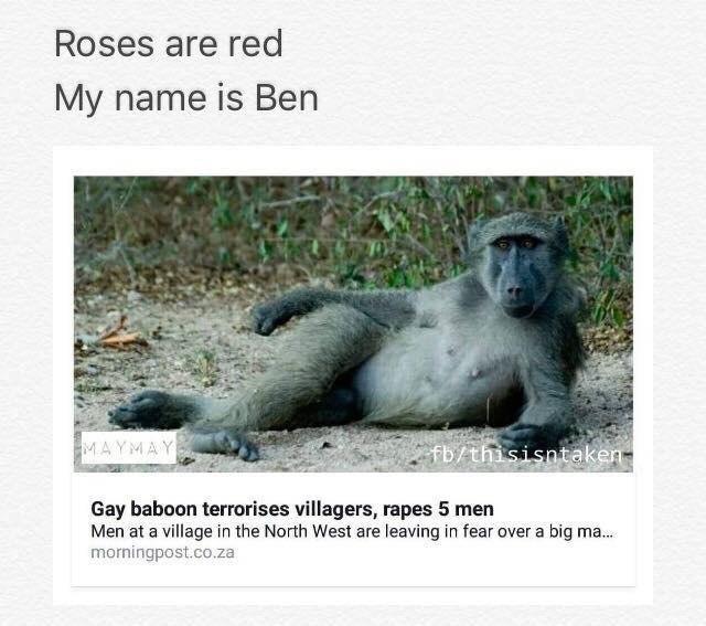 ﻿Roses are red My name is Ben Gay baboon terrorises villagers, rapes 5 men Men at a village in the North West are leaving in fear over a big ma... morningpost.co.za,бабуин,обезьяна,стихи