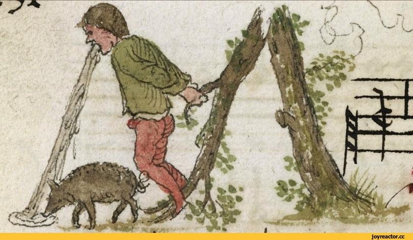 буква,книга,буквица,шрифт,средневековье,ренессанс,арт