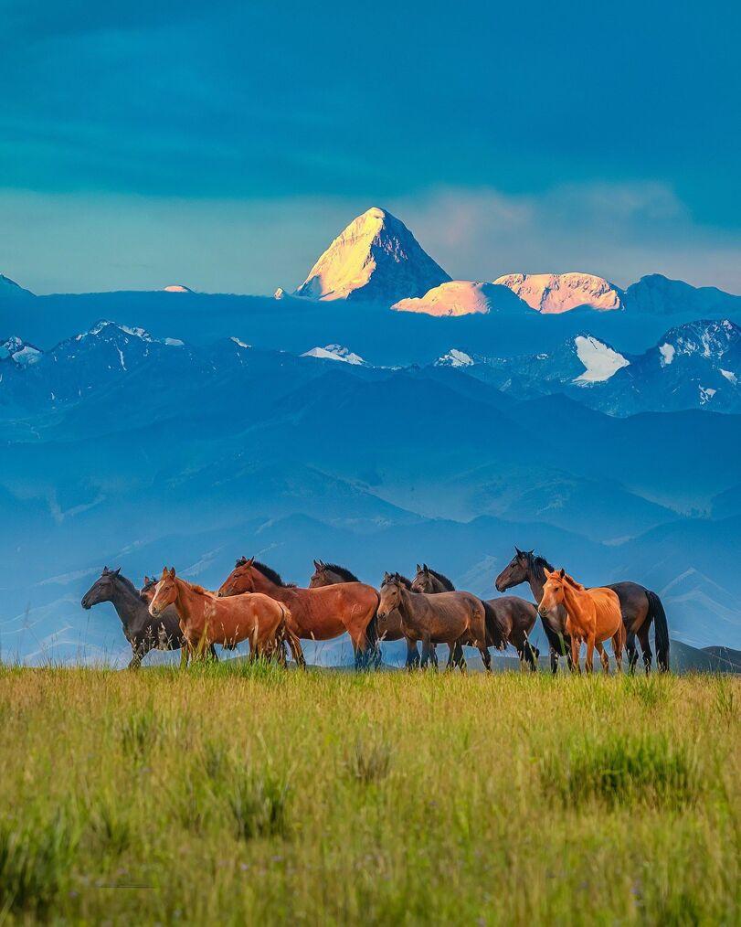 горы,Хан-Тенгри,Казахстан,страны,лошадки,красивое фото,фото