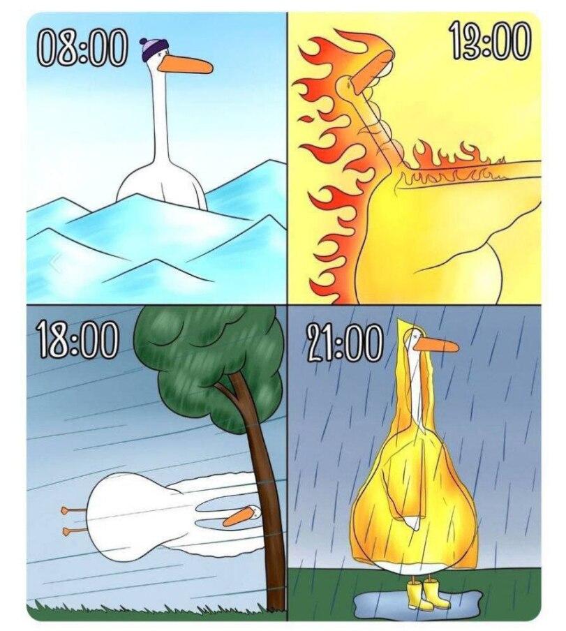 гусь,погода,комикс,goose,comics,