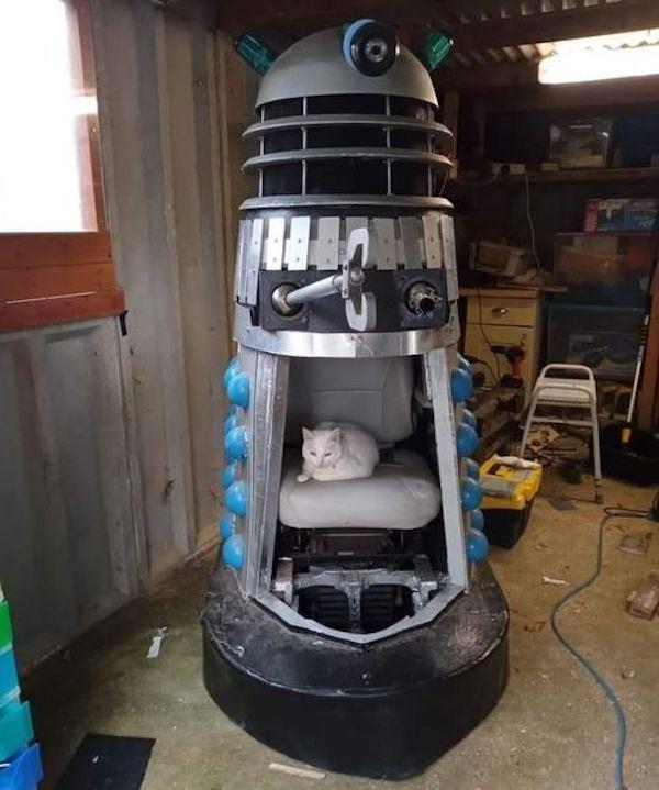 далек,Doctor Who,Доктор кто, DW,фэндомы,доминируй властвуй унижай,котейка,,Doctor Who,fandoms,,cats далек,Doctor Who,Доктор кто, DW,фэндомы,доминируй властвуй унижай,котейка,,Doctor Who,fandoms,,cats