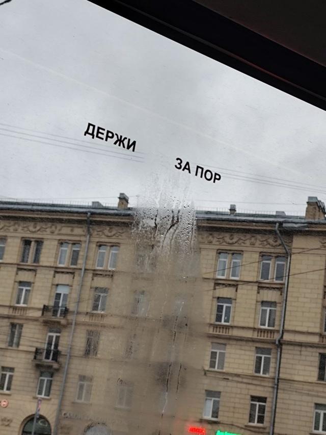 доброе утро,надписи,Халява