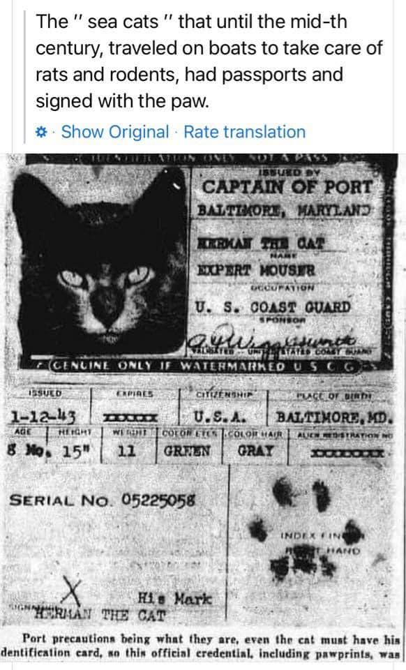 ﻿The " sea cats'' that until the mid-th century, traveled on boats to take care of rats and rodents, had passports and signed with the paw.# Show Original Rate translationi'MÜiÖBALTIMORE, KD,COI (iÄ'l н\ J, cot Op it Alp.ORATOREININOf < 9 »NIIt&ilUCl TICS CATCAPT/SnToF PORT