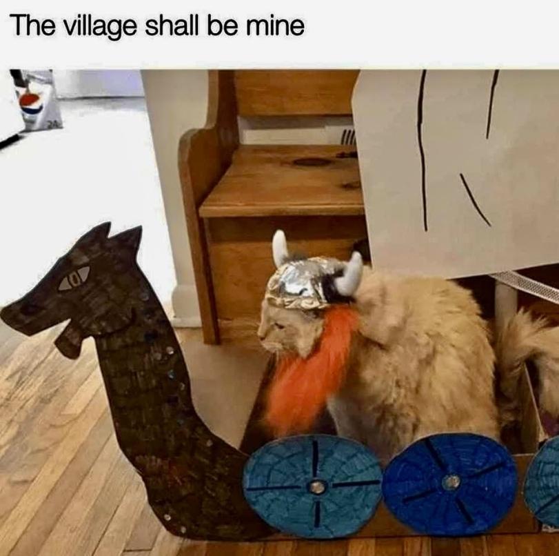 ﻿The village shall be mine,котэ,прикольные картинки с кошками,Викинг,cats,