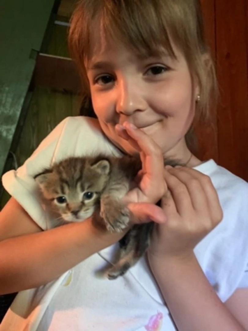 котэ,прикольные картинки с кошками,личинка котэ,было стало,cats,Kitten,before and after