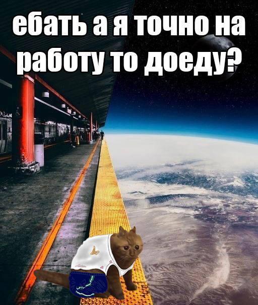котэ,прикольные картинки с кошками,пиздос,работа,космос,платформа