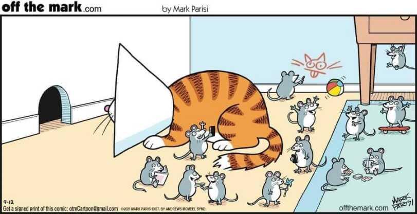 ﻿off the mark .com by Mark Parisi,кот,мыши,Картинка,mark parisi,cats,,mark parisi