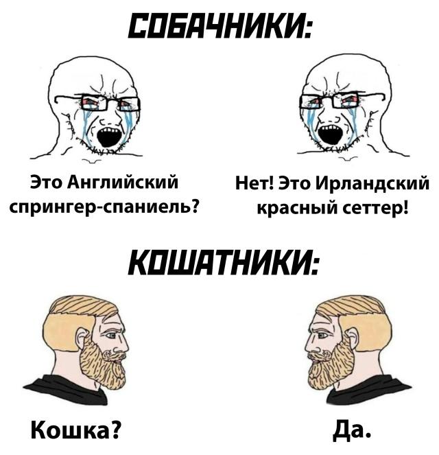 ﻿СОБЙЧНИКИ: Это Английский спрингер-спаниель? Нет! Это Ирландский красный сеттер! КПШПТНИКИ: Кошка? Да.,кошатники,Собачники,Nordic Gamer,Yes Chad,Мемы,Мемосы, мемасы, мемосики, мемесы,Wojak,Вояк