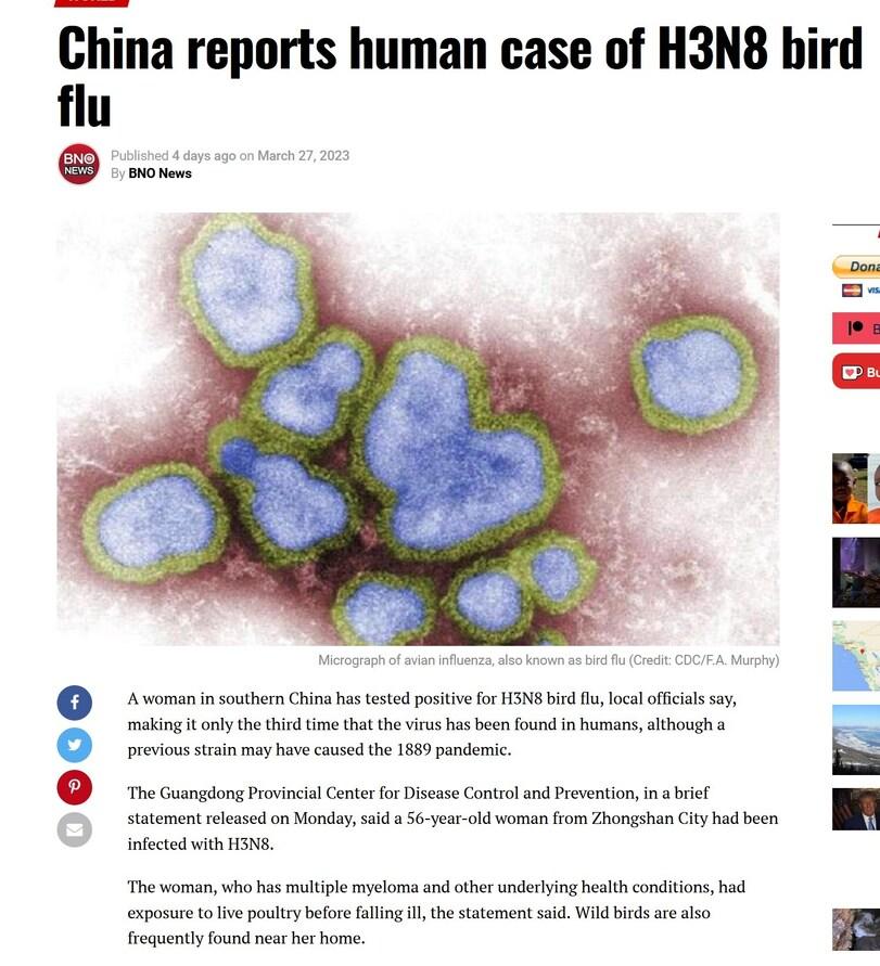 ﻿ China reports human case of H3N8 bird flu Published 4 days ago on March 27, 2023 By BNO News Micrograph of avian influenza, also known as bird flu (Credit: CDC/F.A. Murphy) A woman in southern China has tested positive for H3N8 bird flu, local officials say, making it only the third time that