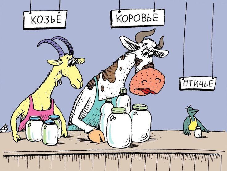 молоко,карикатура