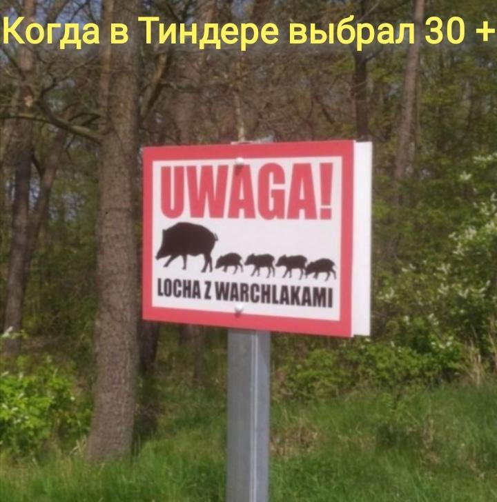 ﻿ Когда в Тиндере выбрал 30 + 4 V I . ^ 7,приколы для полных дегенератов,#Приколы для полных дегенератов,tinder