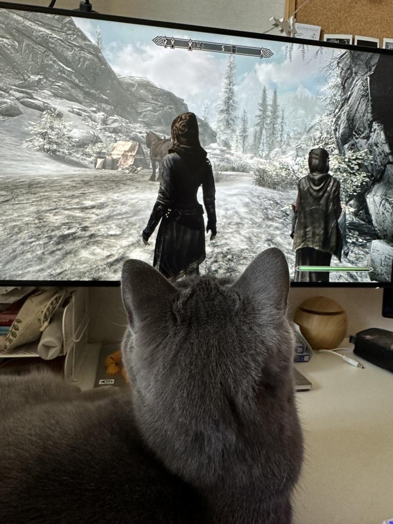 рабочий стол,коты реактора,котэ,прикольные картинки с кошками,геймеры,Игры,учеба,,cats,gamers,games,study