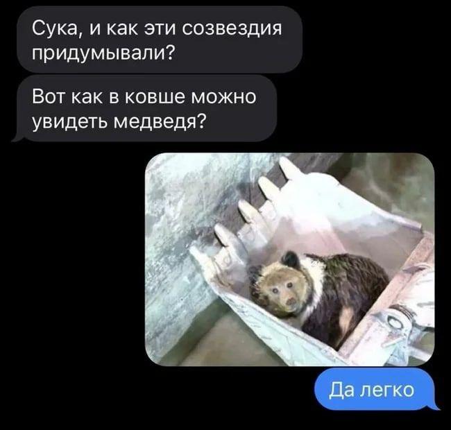 ﻿Сука, и как эти созвездия придумывали?Вот как в ковше можно увидеть медведя?,смешные картинки,фото приколы,медведь,ковш,созвездия,как в ковше можно увидеть медведя?