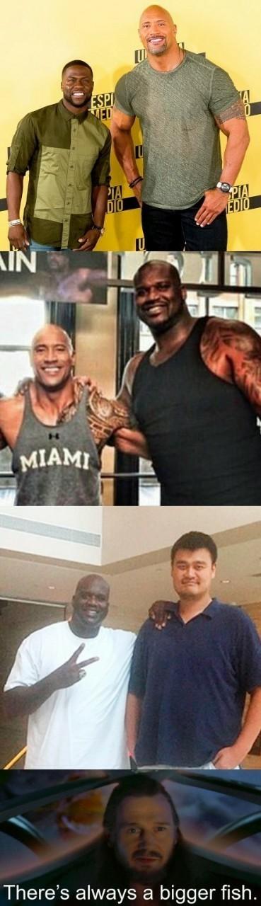 ﻿There’s always a bigger fish.,шакил о&#039;нил,Дуэйн Джонсон,Dwayne Johnson,Кевин Харт,Яо Мин,Мемы,Мемосы, мемасы, мемосики, мемесы,ебать ты высокий