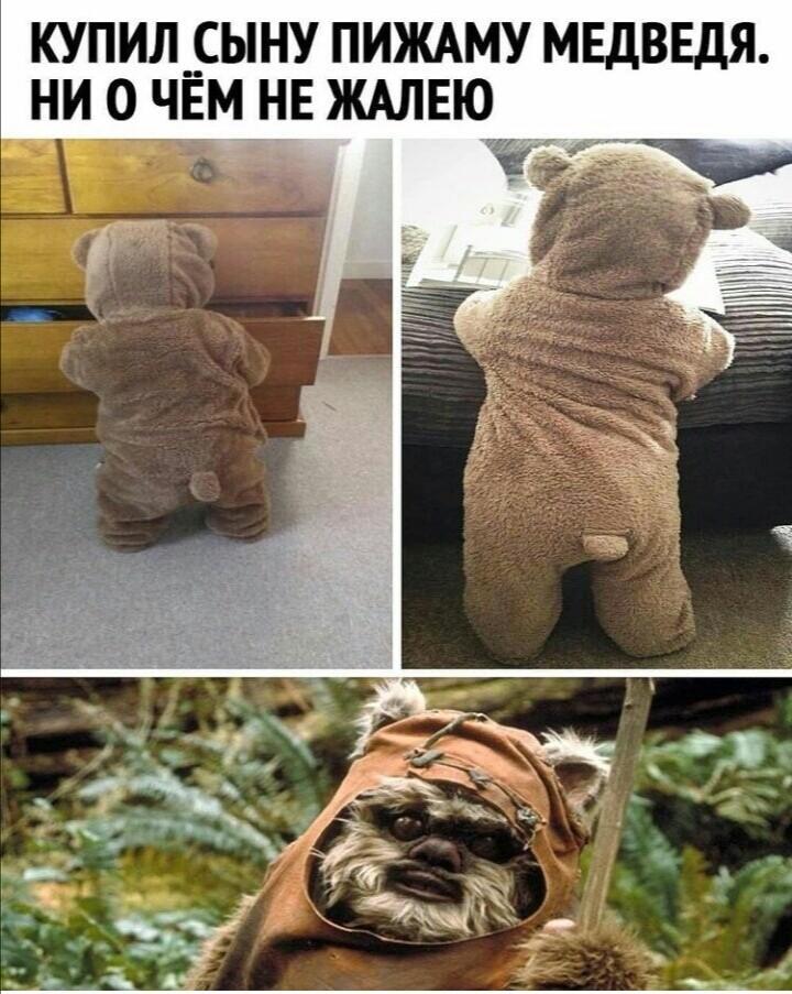 ﻿КУПИЛ СЫНУ ПИЖАМУ МЕДВЕДЯ. НИ О ЧЁМ НЕ ЖАЛЕЮ,эвоки,SW расы,Звездные Войны,Star Wars,фэндомы,пижама,ребенок