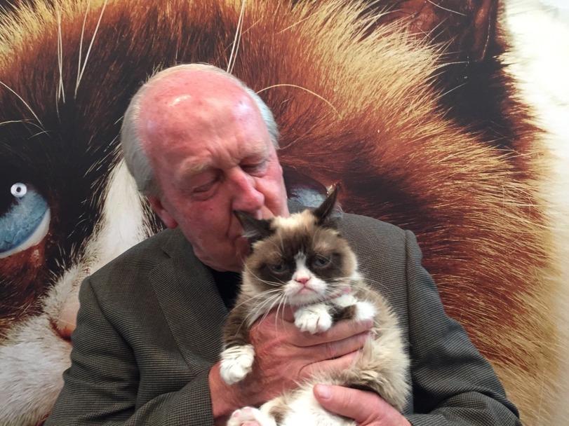 Grumpy Cat,котэ,прикольные картинки с кошками,сейчас,Garfield,Jim Davis,фото,Знаменитости