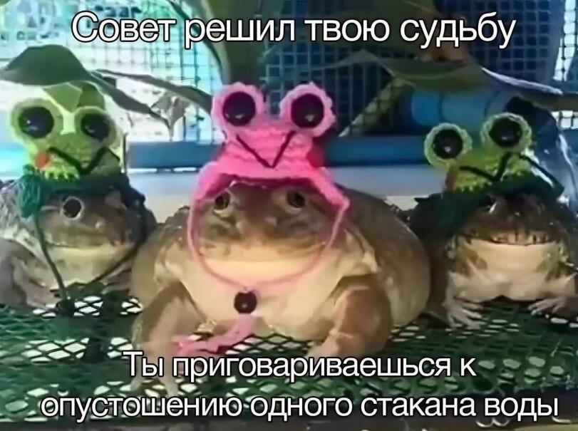 ﻿я ри говари ваеш ься книю'одного стакана воды,It is Wednesday My Dudes,it's wednesday my dudes, its wednesday my dudes, It is Wednesday My Dudes, it's wednesday my dudes,совет,судьба