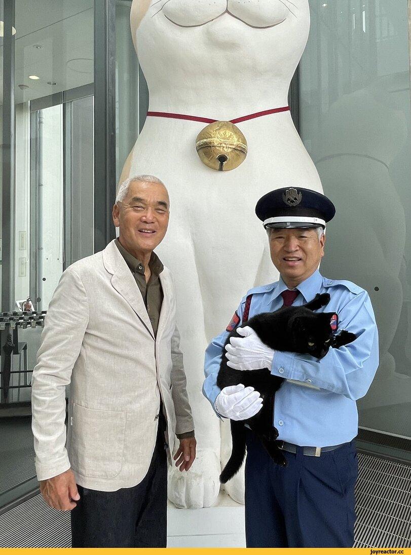 Iwago Mitsuaki,Ономити,Кен Чан и Гоу Чан,котэ,прикольные картинки с кошками,хорошее настроение,длиннопост,гиф анимация,гифки - ПРИКОЛЬНЫЕ gif анимашки