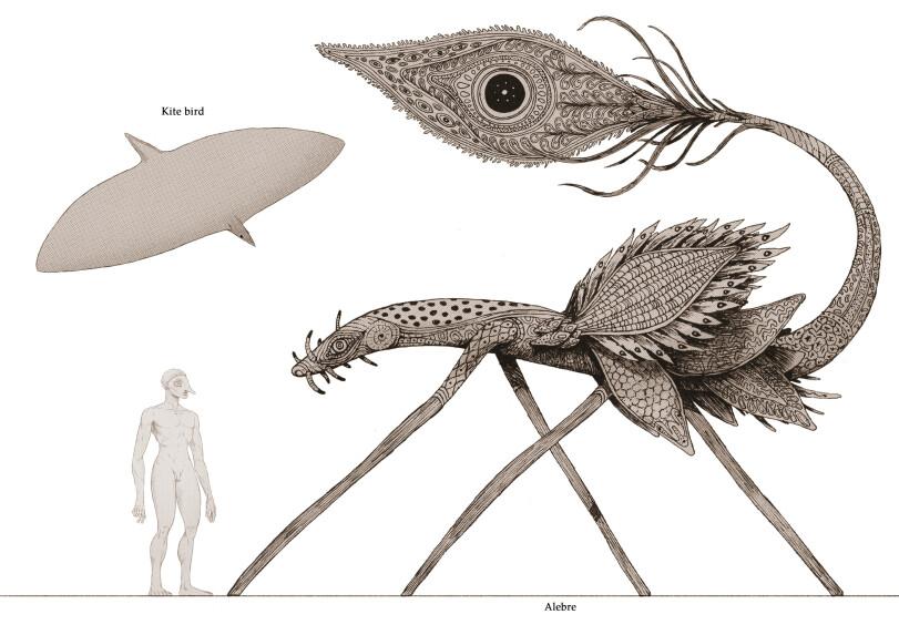 ﻿Kite bird o m 1« • ¿5 >'Q_ri^VrwVT i • yTt^/^ vr * */ Alebre,Lucas Roussel,Fantasy race,Легкая наркомания,Sci-Fi,art,арт,Насекомое,Спекулятивная биология,бестиарий,artist,НЁХ,очень длиннопост,длиннопост,под катом
