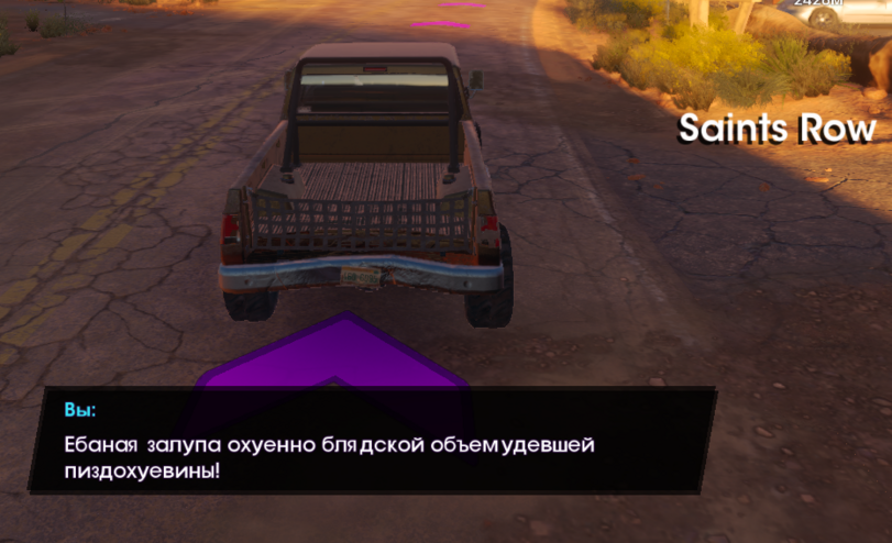 ﻿Вы: Ебаная залупа охуенно блядской объемудевшей пиздохуевины!,Saints Row,Игры,скриншот