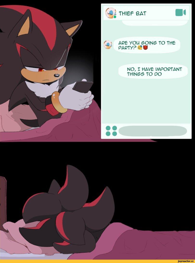 Shadow the hedgehog,Ёж Шедоу, Еж Шедоу,StH Персонажи,Sonic,соник, Sonic the hedgehog, ,фэндомы,Rouge the bat,Воровка Руж, Летучая мышь Руж,StH fun,toonsite