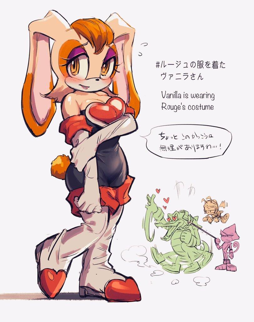 Sonic,соник, Sonic the hedgehog, ,фэндомы,StH Персонажи,Vanilla the Rabbit,Крольчиха Ванилла,StH art,Vector the Crocodile,Крокодил Вектор,Espio the Chameleon,Хамелеон Эспио,Charmy the Bee,Пчела Чарми,hashi_BD
