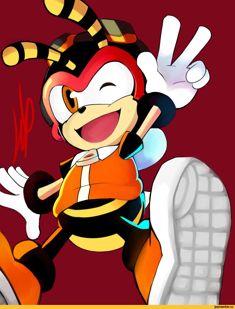 Sonic,соник, Sonic the hedgehog, ,фэндомы,Team Chaotix,Espio the Chameleon,Хамелеон Эспио,StH Персонажи,Vector the Crocodile,Крокодил Вектор,Charmy the Bee,Пчела Чарми,StH art