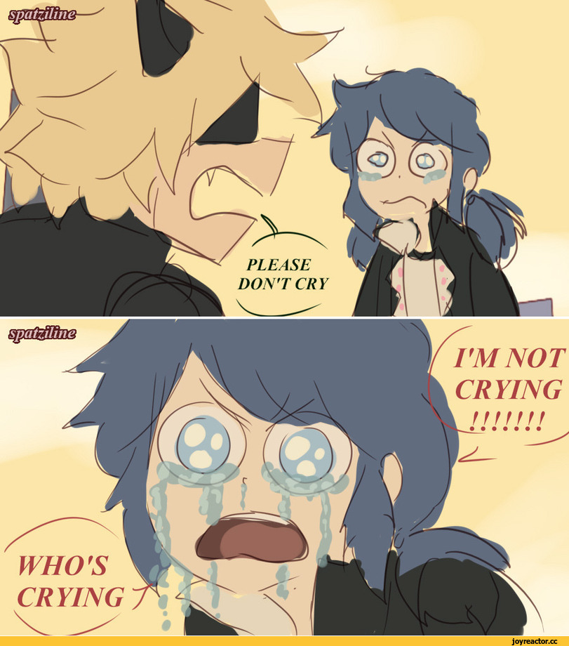 ﻿» -AA7 WHO'S CRYING I'M NOT CRYING,Spatziline,artist,Chat Noir,Adrien Agreste,Miraculous Ladybug,Мультфильмы,Мультсериалы, Cartoons,Ladybug,Marinette Dupain-Cheng