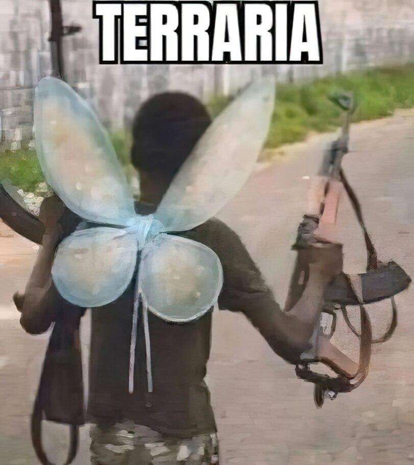 Terraria,Игры,негр,крылья